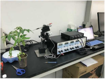 气体信号分子和生物自由基检测仪 LabAide 4000